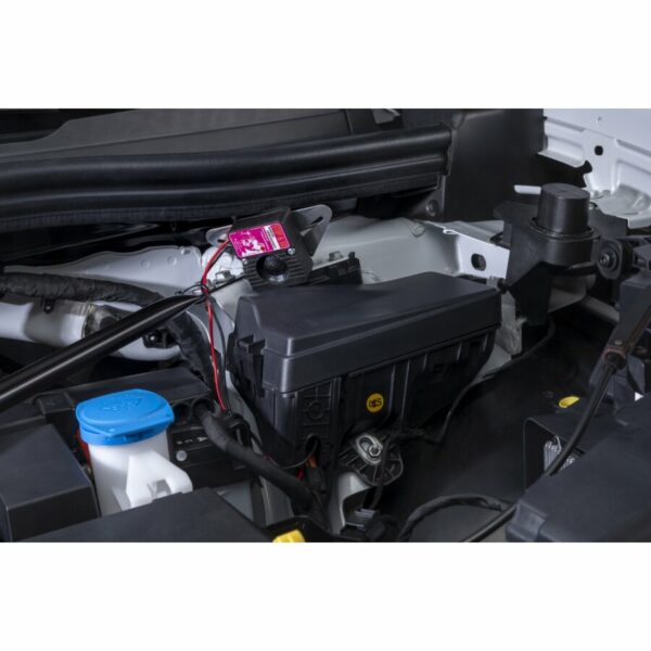 Marterverjager Stop&Go 12v Standaard - Afbeelding 3