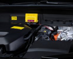 Marterverjager Stop&Go 7 PLUS-MINUS CLIP 12V hoogspanningsapparaat met  ultrasoon geluid – Autobedrijf Cartech